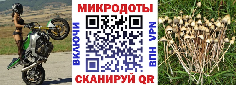 Псилоцибиновые грибы прущие грибы  Купить закладки  Среднеуральск 